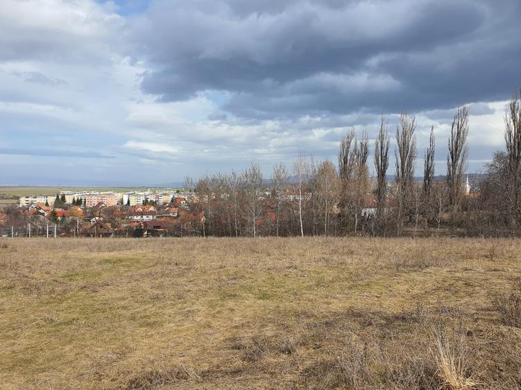 Teren de vânzare în Săcele – Locație excelentă pentru locuință sau investiție! - 5