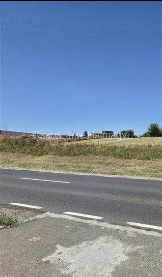 RECO Teren intravilan 900 mp Biharia