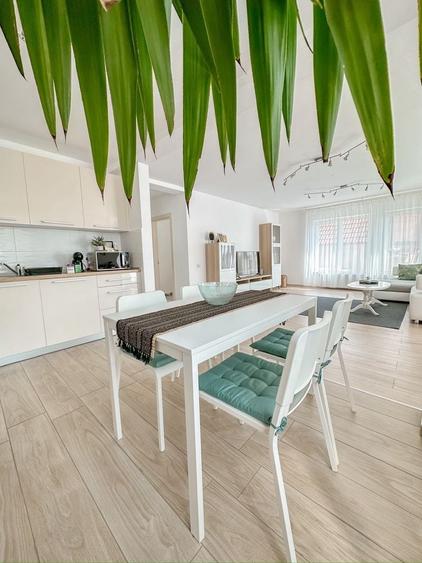 Apartament cu 2 camere în Dosu Bricii