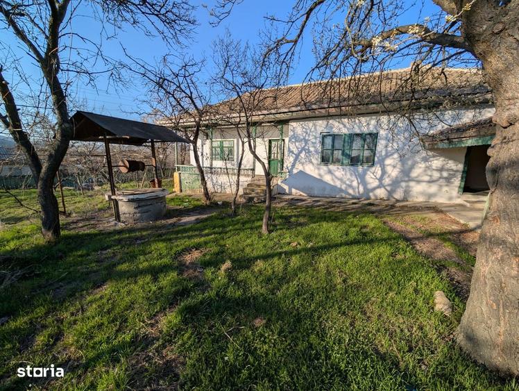 Teren + casa batraneasca - Cerna (jud. Tulcea) - 8