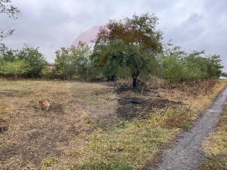 Teren intravilan 1700 mp, de vanzare, Polcesti,  A2 Sarulesti - 8