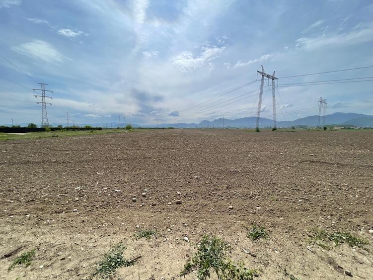 Teren Sanpetru str. Sfantul Andrei 32.100mp ! - 5