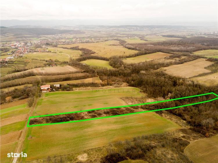 RECO Teren intravilan in Ceica Bihor - 7