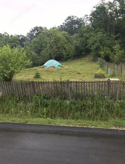 Teren de 1000 mp, în Băbana