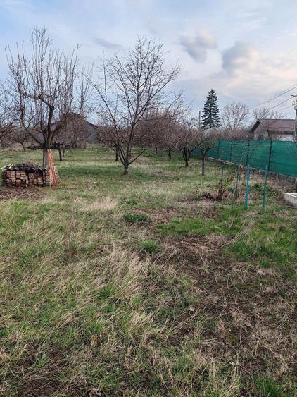 Casa de vanzare Toporu jud Giurgiu - 3