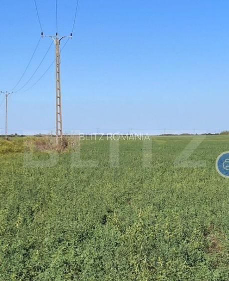 Teren arabil, 25 ha, Giulvaz-Foeni, front stradal 280 ml