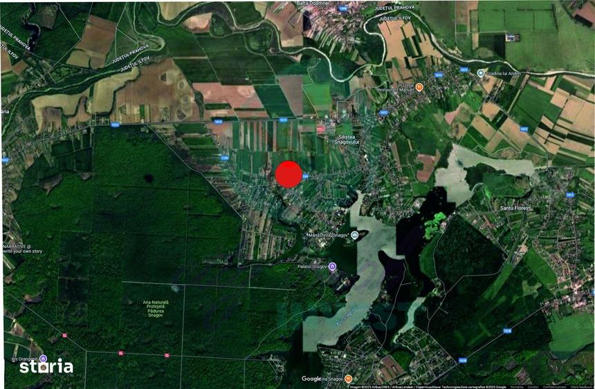 Teren 5000 mp pentru dezvoltare rezidentiala, Silistea Snagovului - 2