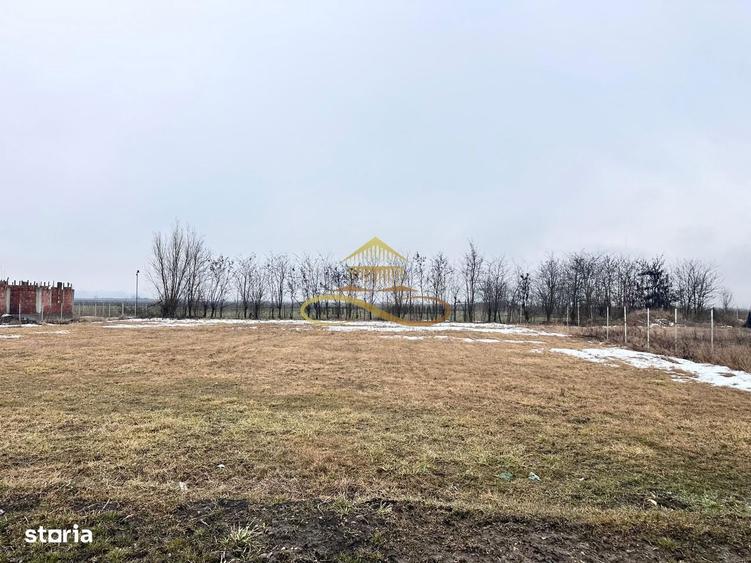 Teren de vanzare Siretu Saucesti Bacau - 4