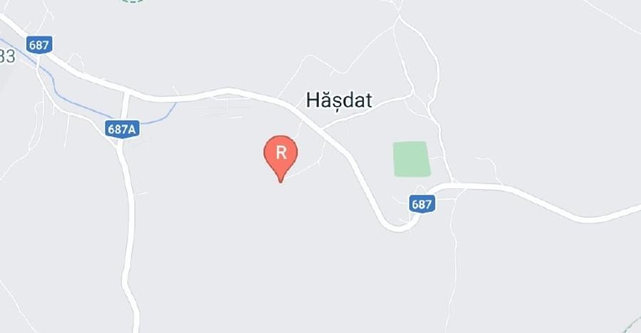 Teren agricol extravilan de 8008 mp, în Hășdat