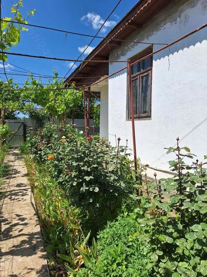 Vand casa de caramida cu teren comuna Stancuta jud Braila - 5