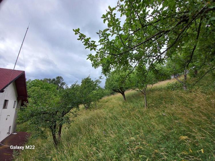 Bran, casa de vacanta + teren , Zona Club Vila Bran - 10