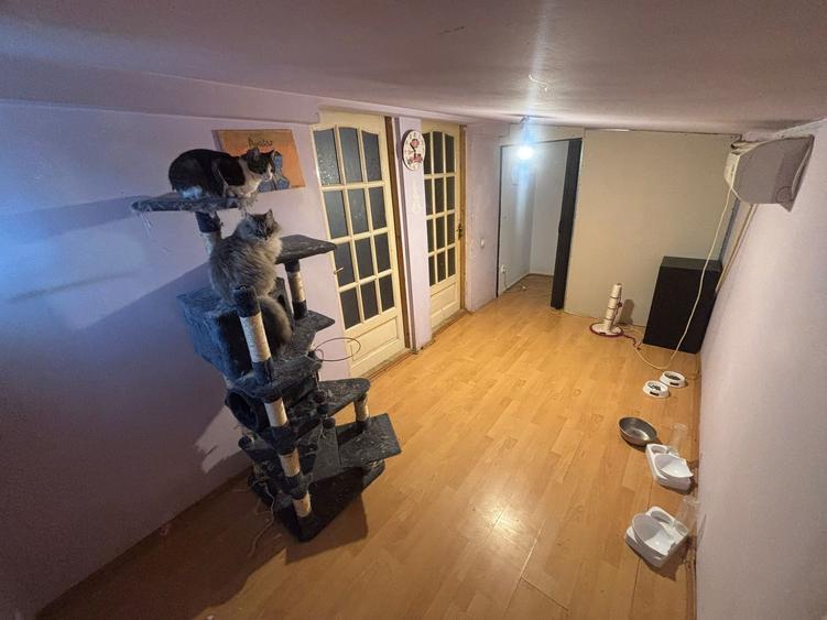 Casa de vanzare cu 4 camere (P+M) in zona Cartier 23 August-Hala Laminor - 12