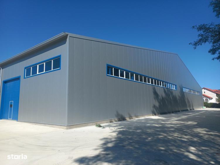 Hala depozitare sau productie 10000 mp - 5