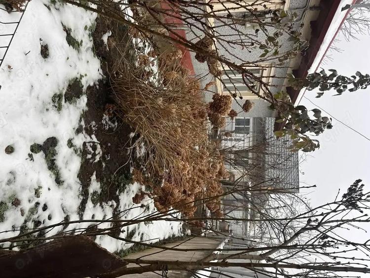 Vand casa in Medgidia - 7