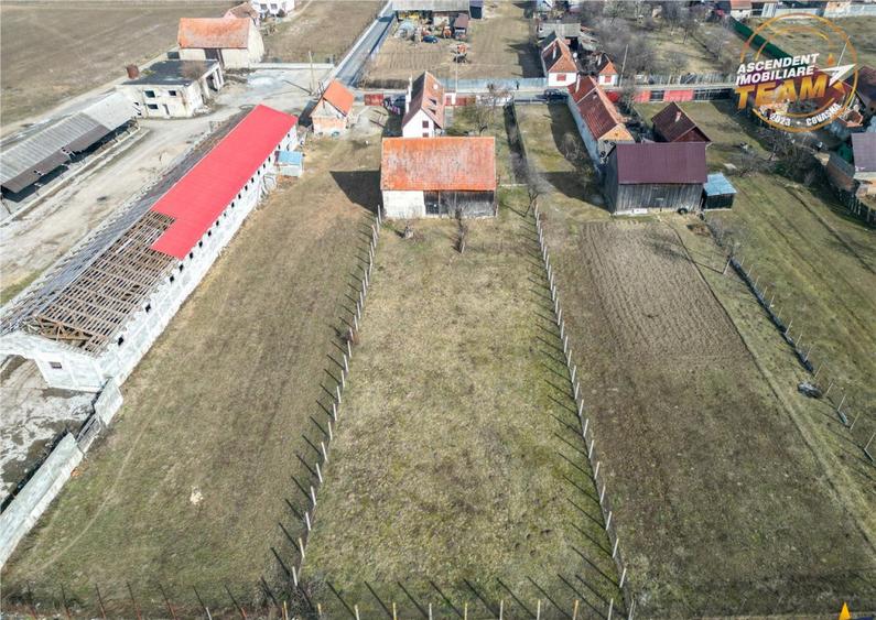 Proprietate autentica spatiu gospodaresc,1800mp,Araci,Covasn - 17
