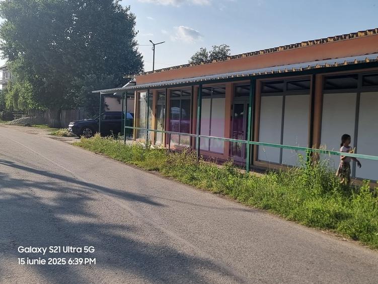 VANZARE CASA OASPETI + ANEXE IN SAT TEISORI (JUD. GIURGIU) - 8