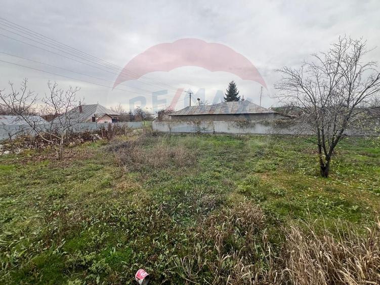 Casa 4 camere Rachitosu - 14