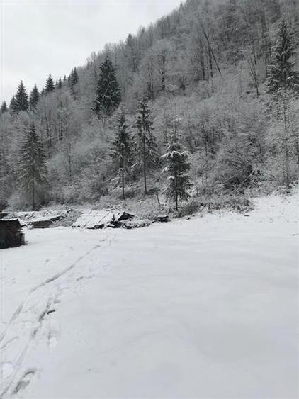 Teren pentru cabana Racatau - 6