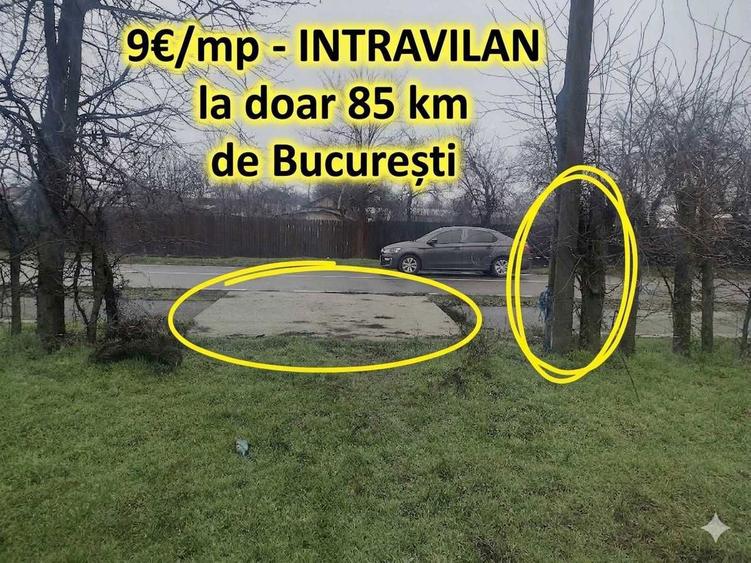 TEREN INTRAVILAN DE VANZARE la 85 km de Bucuresti - 1
