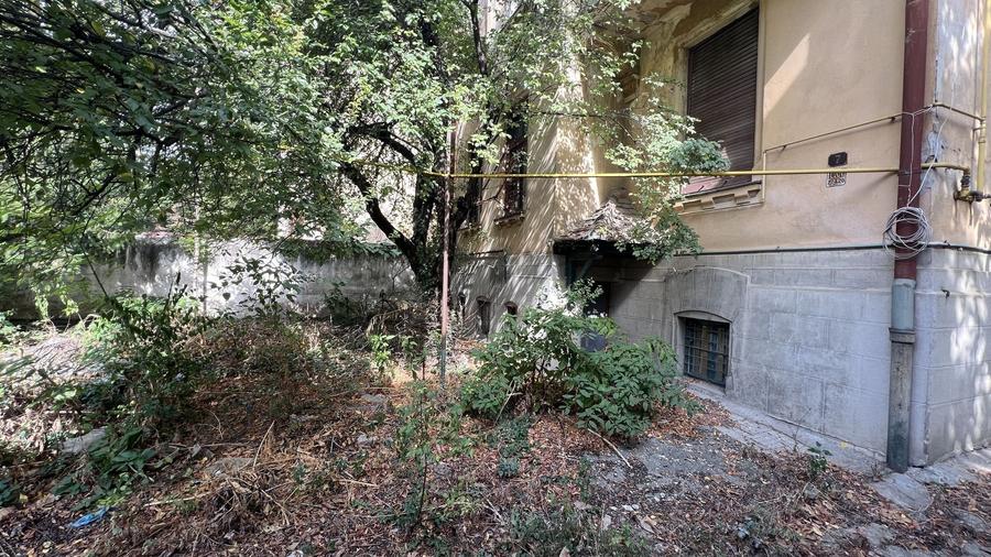 VILA INDIVIDUALA CISMIGIU | INTR. TEMISANA - 3