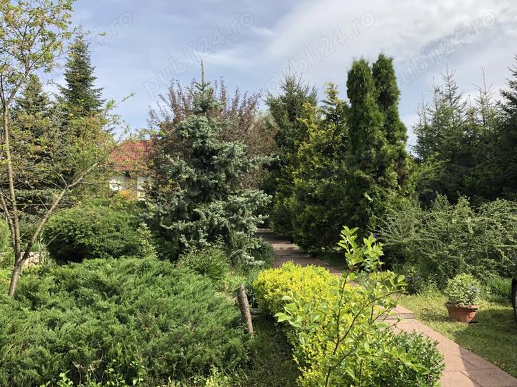 Casa de vanzare langa Castelul Regal Savarsin - 1