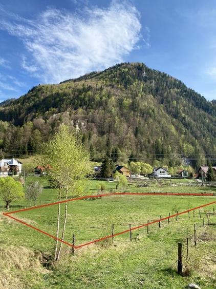 Teren panoramic insorit, utilitati, panta mica si padure, turism sau vacanta - 17