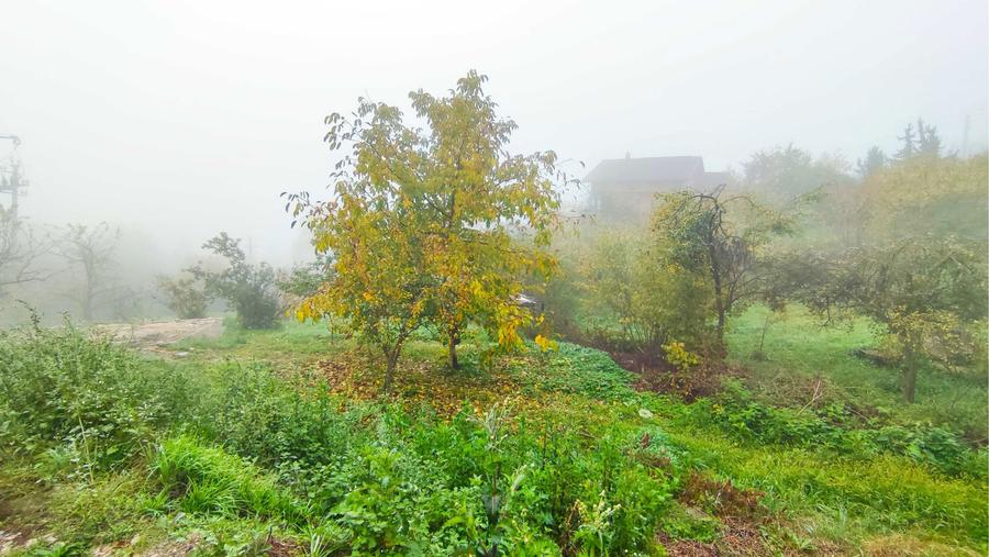 Teren intravilan 1319 mp Podgoria de vanzare - 4