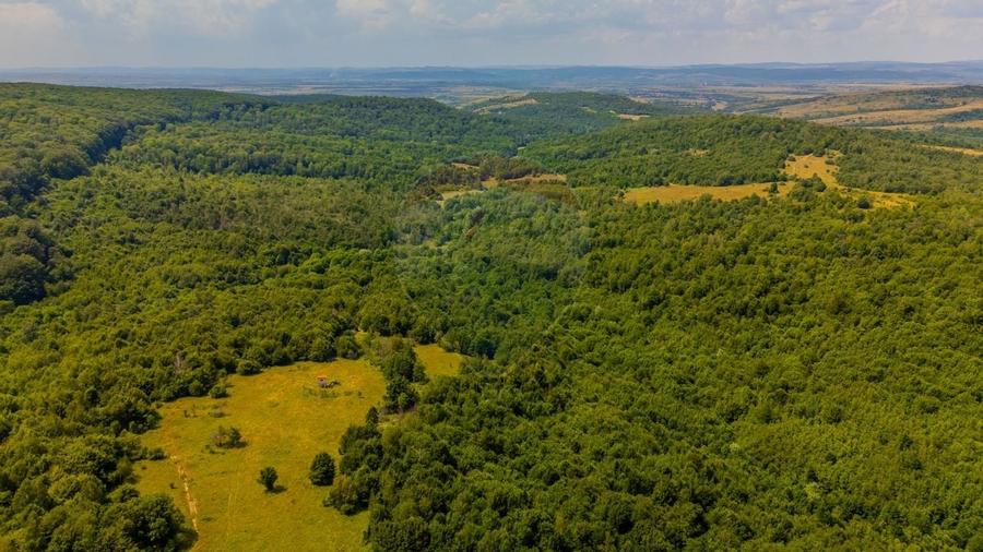 COMISION 0% Teren Grid/Inima Naturii/ Oportunitate de investitie - 14