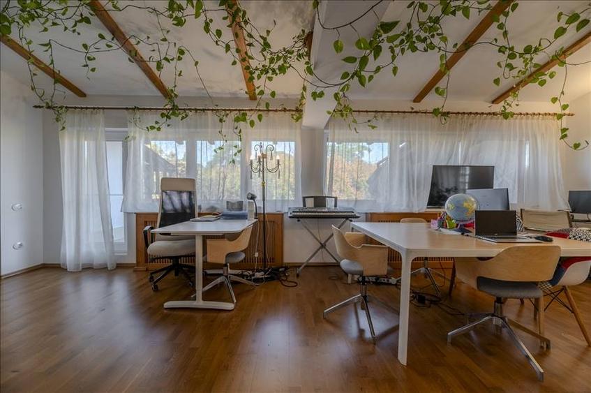 Vila   de LUX la vanzare in  Parcul Sub Arini - 8