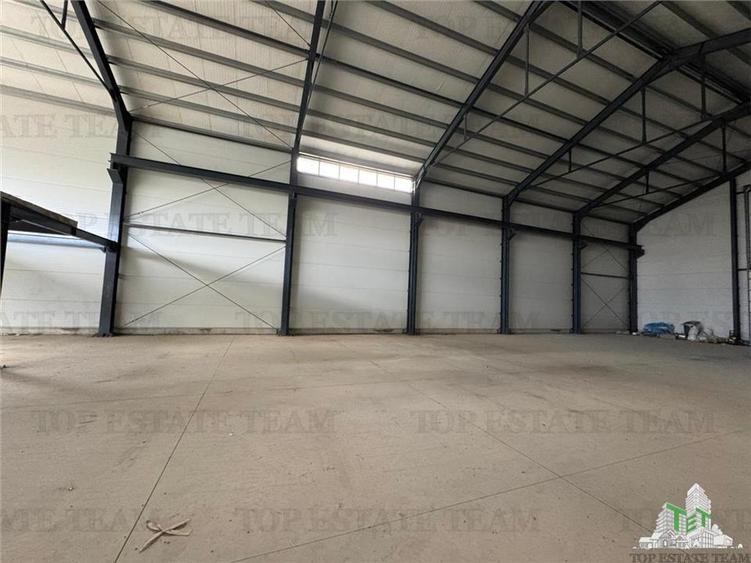 Hala - Maracineni - Buzau - vanzare - 8