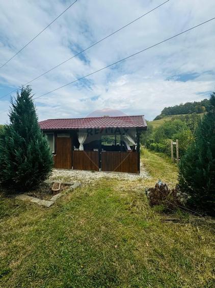 Teren Drumul Buzdului cu o cabana mica - 6