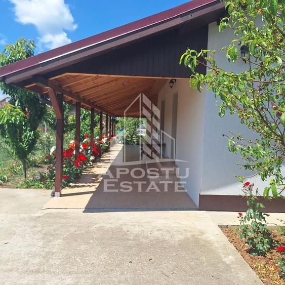 Casa individuala in Ianova,Comuna Remetea Mare - 9