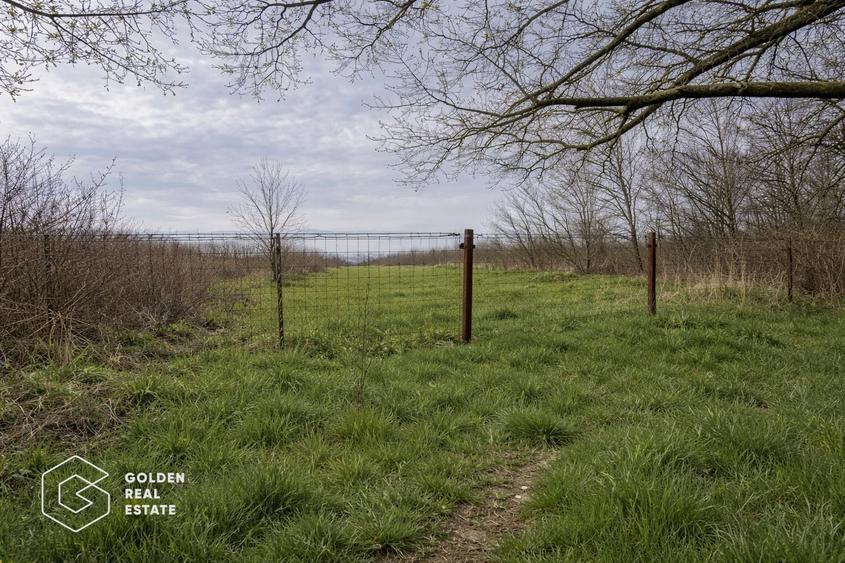 Teren intravilan generos în Cebza, 1439 mp, ideal constructie - 1