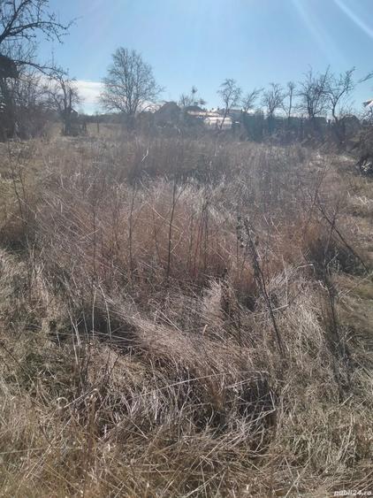 Vand casa+teren intravilan aproape 4000 m comuna suseni sat ?u?ule?ti judetul Arges pre? negociabil - 2