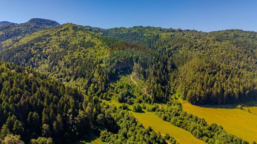 COMISION 0% Teren Bradet 7300 + 6000 mp/ Sacele /Intravilan - 7