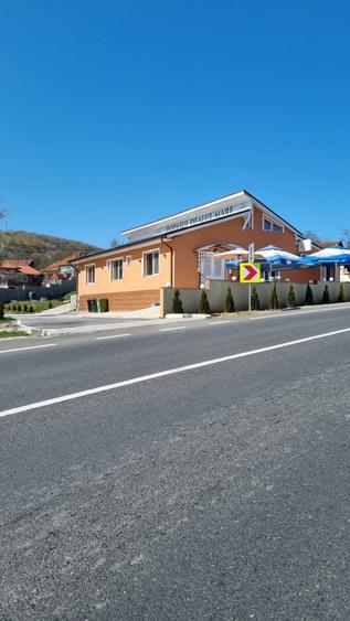 Vand pensiune in Dealu Mare (Comuna Valisoara), judetul Hunedoara, - 1