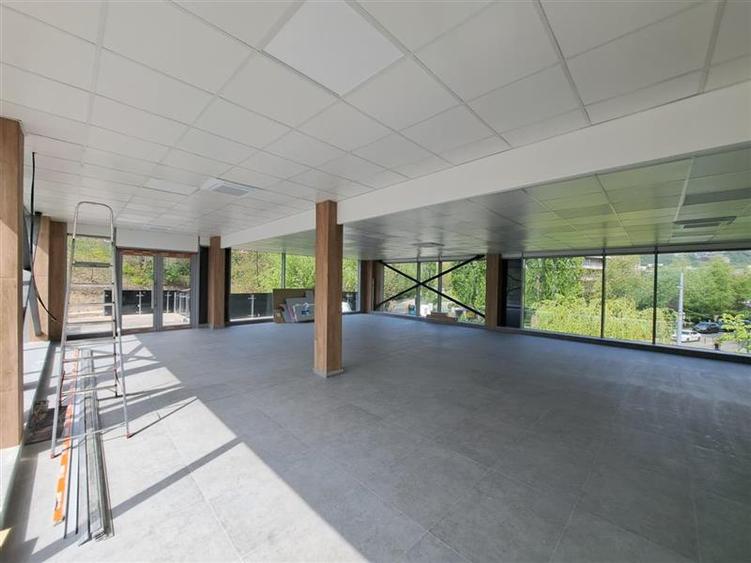 Birou, de 280 mp, în Plopilor