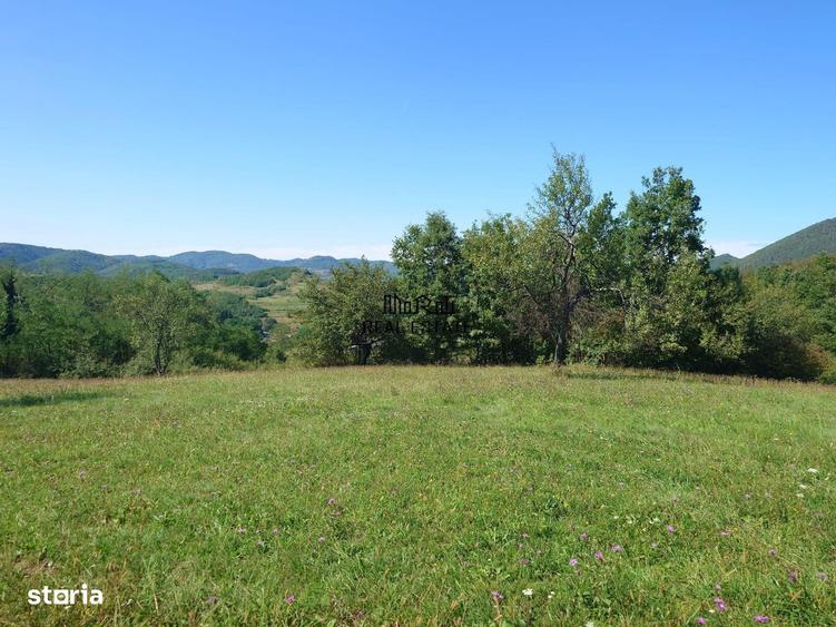 Teren de 8757 mp, în Luncoiu de Jos