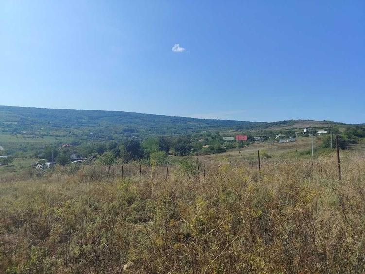 12990 EURO Tomesti-Goruni Teren de Vanzare - 2