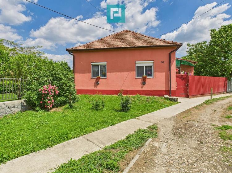 Casa cu 3 camere ?i teren generos langa frontiera - 4