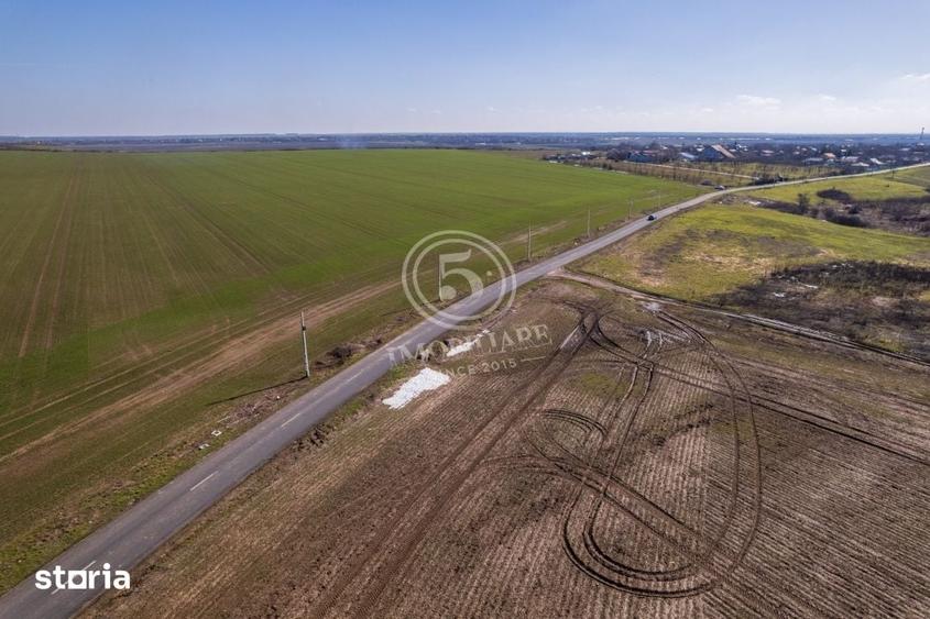 Teren de 80000 mp, în Vasilați