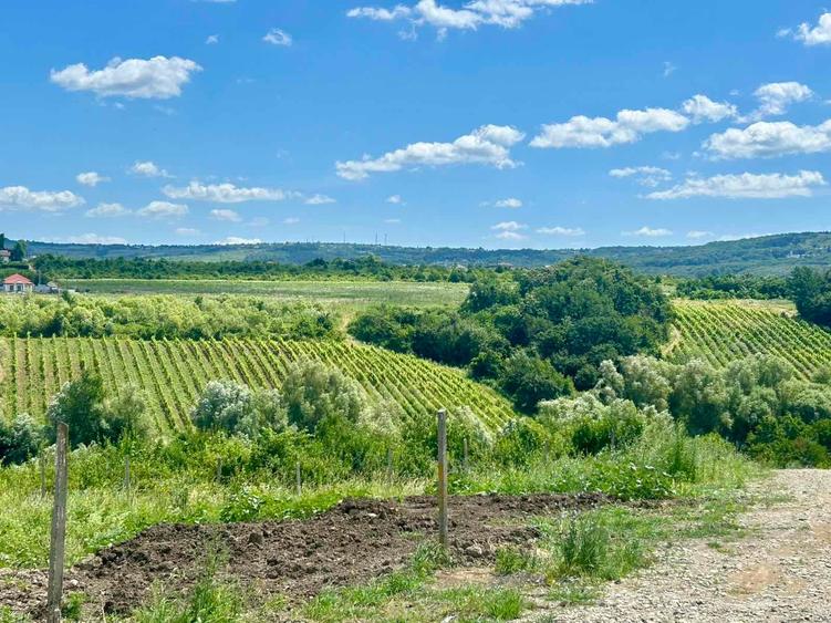 Teren intravilan 670 mp Vișan, Bârnova Iași - Rate la proprietar, 4 km sos Bucium - 5