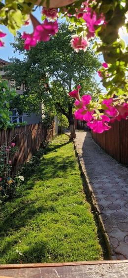 Casă cu 3 camere în Central