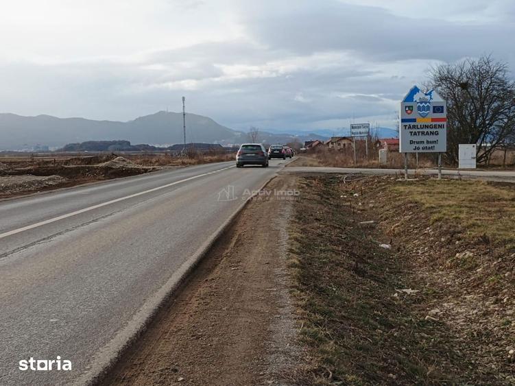 Teren de 9000 mp, în Est