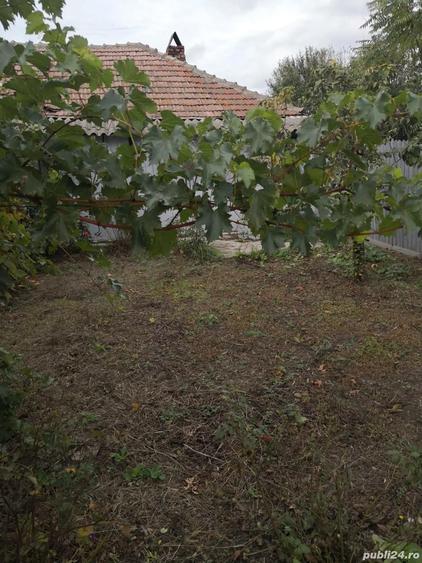 casa de vanzare comuna Ciorani de jos Judetul Prahova - 6