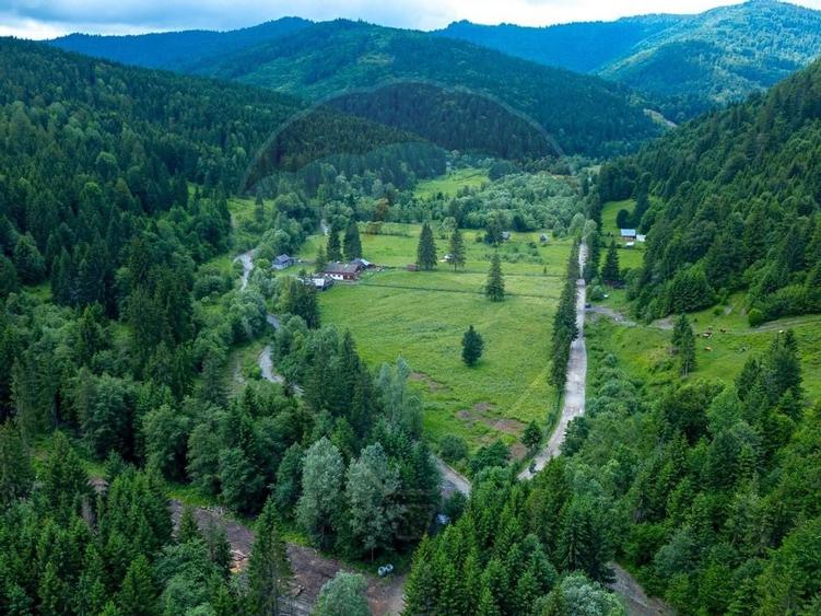 Ferma de vanzare, teren 21436 mp intravilan, Cosnea, Agas - 10