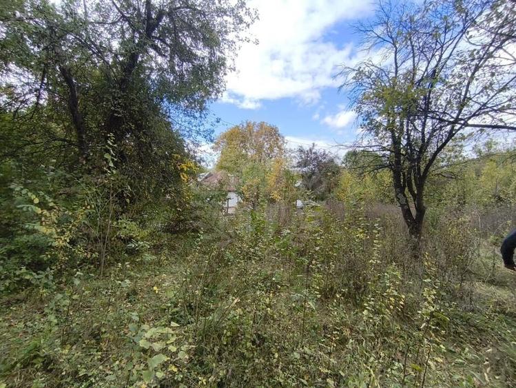 TEREN INTRAVILAN// CORNU DE JOS - 2