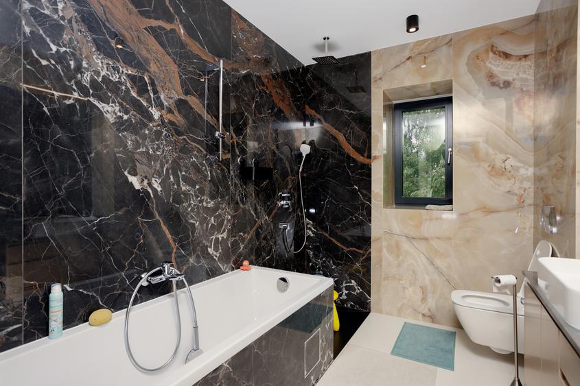 Vila pe malul lacului de vanzare // Snagov - 16