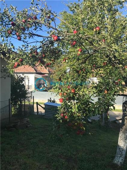 Royal Imobiliare- Vanzare Casa de Vacanta Teisani - 5