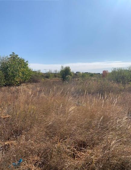 Vanzare  Teren  intravilan  Pipera - 3